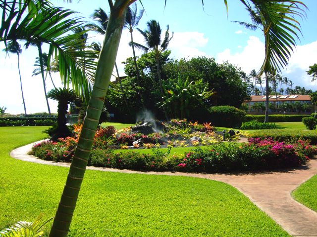 Tropical foliage on the walking paths Tropical foliage on the walking paths