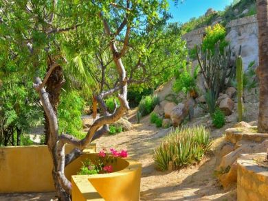 Los Cabos Home 901239