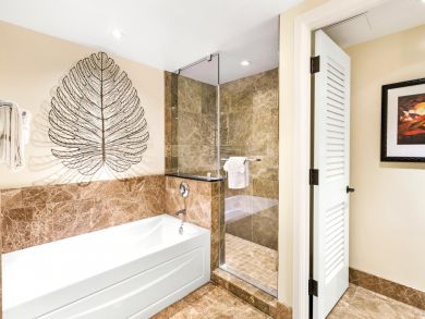Guest Bathroom with Tub & Shower