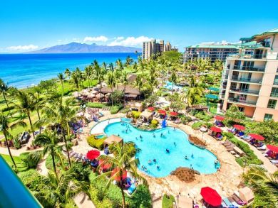 Swimming Pool View