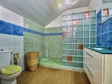 Bathroom with Walk-in Shower