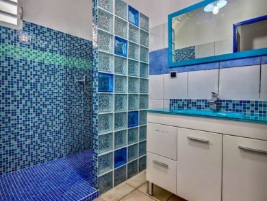 Bathroom with Walk-in Shower