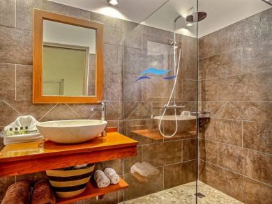 Walk-in Shower