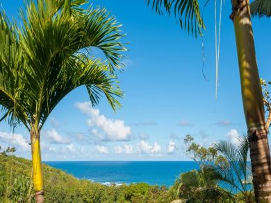 Pacific Views From the Comfort of your Bed!