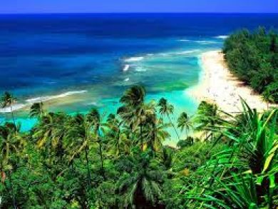 Pacific Views From the Comfort of your Bed!