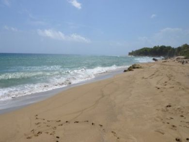 Sandy Beach Sandy Beach