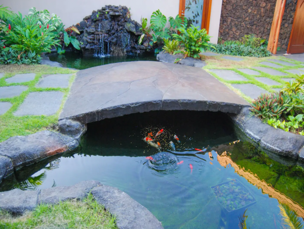 Luxury Six Bedroom Vacation Villa Sleeps 14 Guests with Pool
