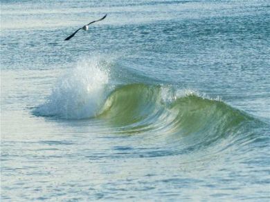 Gulf of Mexico