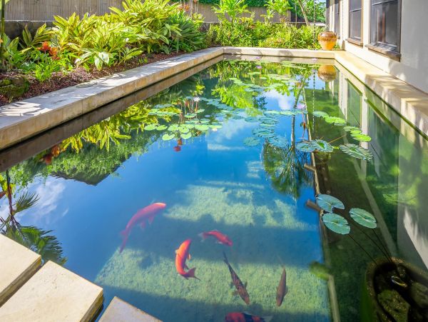 Stunning Princeville Rental: Ocean Views, Pool, & Comfort
