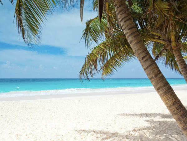 Four Bedroom Plus Den Vacation Rental Home with Private Pool