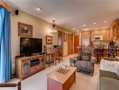 Mountain View Vail Condo Sleeps 6 Walk to Ski Lifts