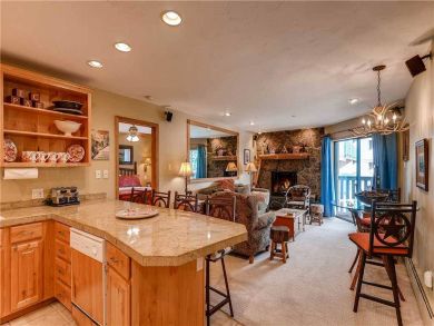 Mountain View Vail Condo Sleeps 6 Walk to Ski Lifts