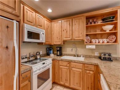 Mountain View Vail Condo Sleeps 6 Walk to Ski Lifts