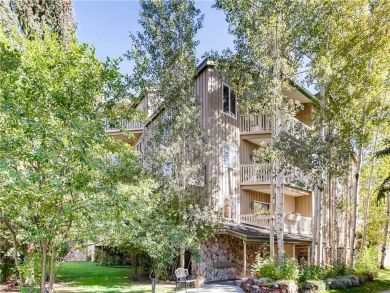 Mountain View Vail Condo Sleeps 6 Walk to Ski Lifts