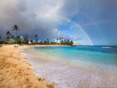 Two Bedroom Condo Sleeps Six Short Walk to Beach