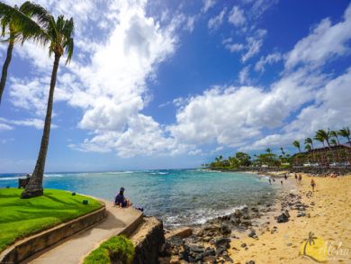 Two Bedroom Condo Sleeps Six Short Walk to Beach