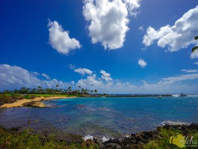 Two Bedroom Condo Sleeps Six Short Walk to Beach