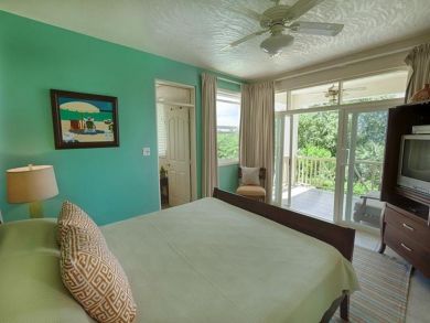 British Virgin Islands Home 902296 British Virgin Islands Home 902296