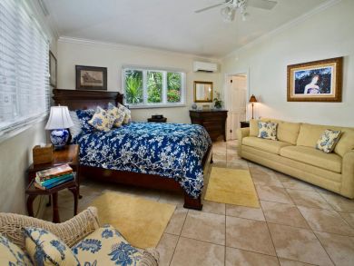 St. Thomas Luxury 3 Bedrooms Vacation Pool Home Ocean Views