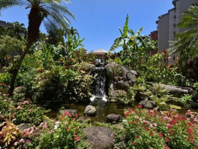 Lahaina Lovely Two Bedroom Rental Pool Views
