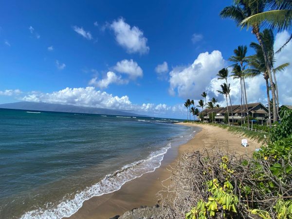 Lahaina Oceanfront Three Bedroom Condo