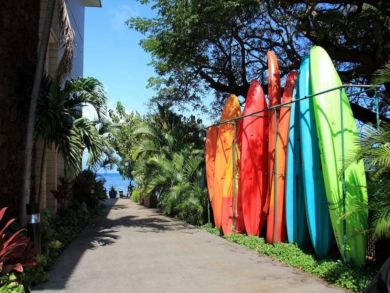 Water Sports