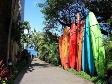 Walking trail to beach