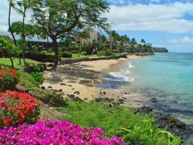 Charming Vacation Rental on Lahaina. Call Today.
