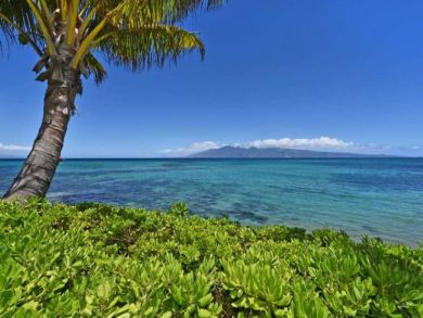 Charming Vacation Rental on Lahaina. Call Today.