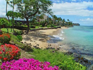 Great Value Two Bedroom Maui Condo - Sleeps 6 Guests