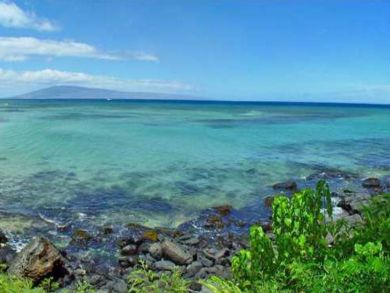 Great Value Two Bedroom Maui Condo - Sleeps 6 Guests