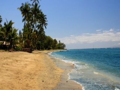 Sandy beach & ocean