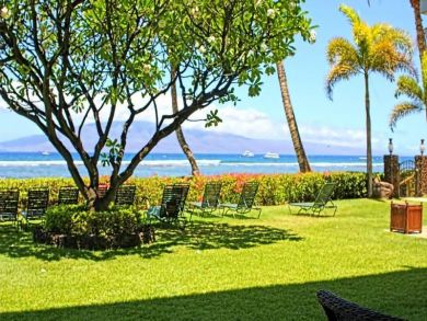 Beautiful lawn gardens