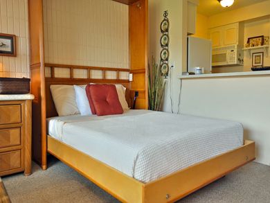 Murphy bed in living room
