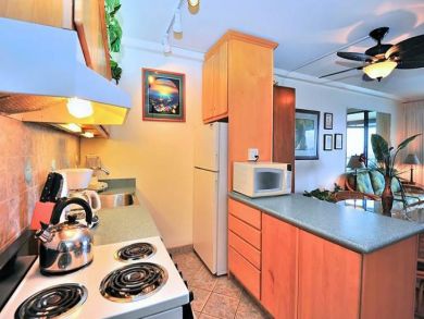 Fully equipped kitchen Fully equipped kitchen