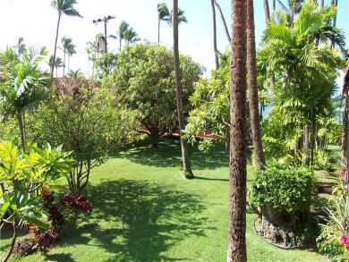 Tropical grounds Tropical grounds