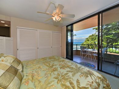 Ocean Views Updated Unit with Lanai and World Class Beach