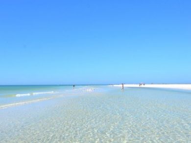 Siesta Key, Florida Vacation Rental