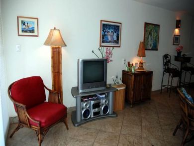 Living area with TV