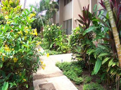 Walkway with tropical foliage