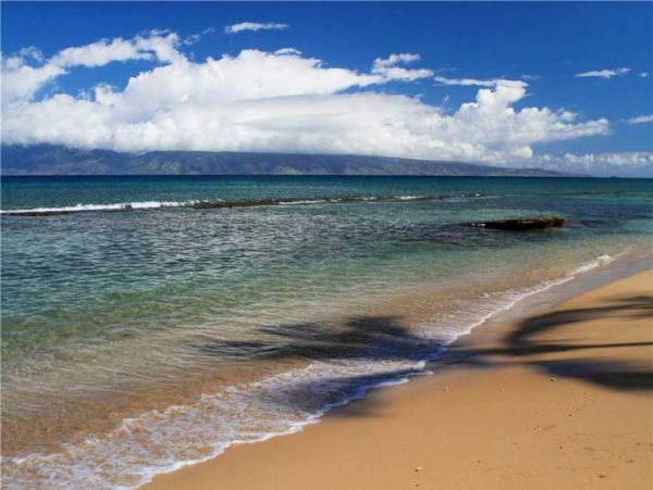 Oceanfront Two Bedroom Lahaina Vacation Condo Sleeps 6