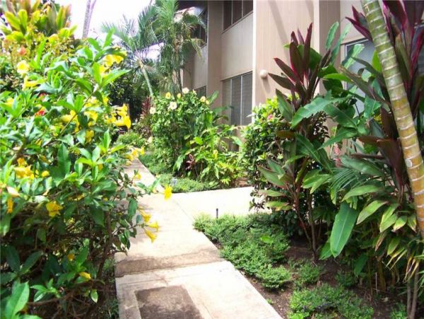 Oceanfront Two Bedroom Lahaina Vacation Condo Sleeps 6