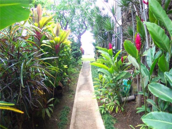 Oceanfront Two Bedroom Lahaina Vacation Condo Sleeps 6