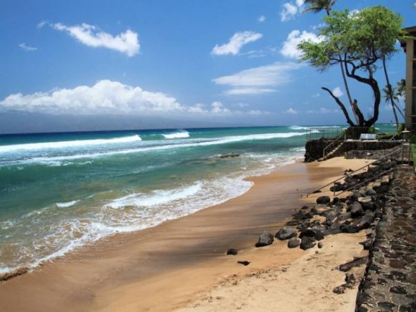Oceanfront Two Bedroom Lahaina Vacation Condo Sleeps 6