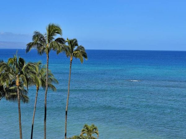 Kahana Rental Condo Value Rates
