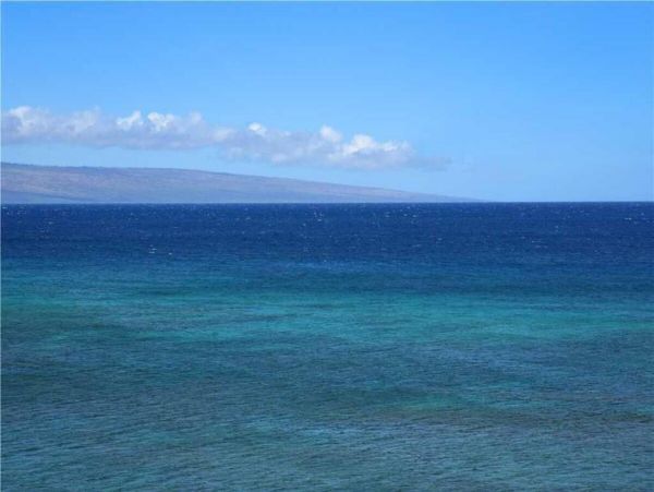 Oceanfront 1 Bedroom Condo Sleeps 4 Guests Amazing Views