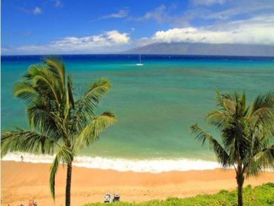 Beach View Beach View