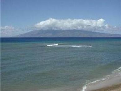 Lahaina rental condo located on beach Lahaina rental condo located on beach