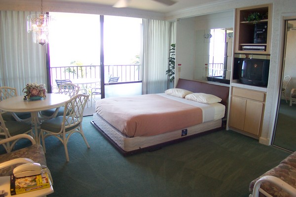 Sleeping area with queen Murphy bed
