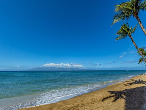 Wake to the Views of The Pacific Ocean from Your Bed!!